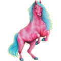 Pony Norweger Braunfalben