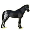Pony Deutsches Reitpony Mausgrau