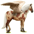 Pegasus-Reitpferd Andalusier Rotbrauner