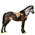 Pony Deutsches Reitpony Fuchs