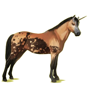 Einhorn-Pony Welsh Cob Apfelschimmel