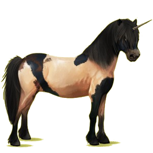 Einhorn-Pony Neufundland Pony Apfelschimmel