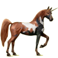 Einhorn-Reitpferd Araber Rotbrauner