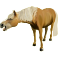 Pony Haflinger Palomino
