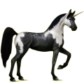 Einhorn-Reitpferd Mausgrau
