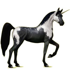 Einhorn-Reitpferd Araber Mausgrau