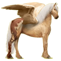 Pegasus-Reitpferd Friese Rappe