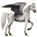 Pegasus-Reitpferd Araber Hellgrau