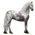 Pegasus-Reitpferd Friese Rappe