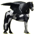 Pegasus-Reitpferd Friese Rappe