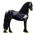 Reitpferd Friese Rappe