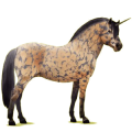 Einhorn-Pony Norweger Braunfalben