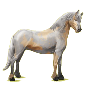 Pony Quarter Pony Fuchs