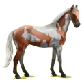 Reitpferd Trakehner Rappe