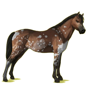 Pegasus-Pony Deutsches Reitpony Fuchs