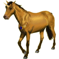 Einhorn-Pony Neufundland Pony Brauner