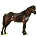 Pony Brauner
