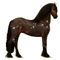 Reitpferd Friese Rappe