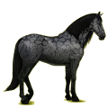 Pegasus-Reitpferd Andalusier Rappe