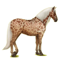 Reitpferd Lipizzaner Rotbrauner