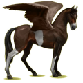 Pegasus-Reitpferd Marwari Rotbrauner