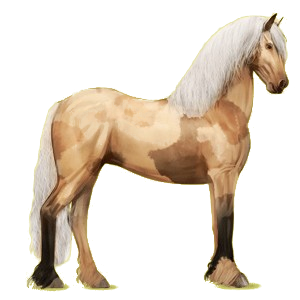 Reitpferd Friese Rappe