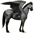 Pegasus-Reitpferd Paint Horse Overo-Fuchsschecke