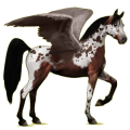 Pegasus-Reitpferd Araber Apfelschimmel