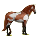 Reitpferd Andalusier Hellgrau