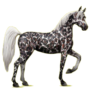 Pegasus-Reitpferd Araber Hellgrau