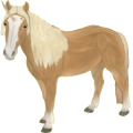 Einhorn-Pony Haflinger Palomino