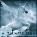 » traumprinzen «