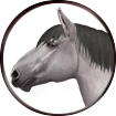 » Ⲟⲅⲛⲉ Ⲟⲅⳕƍⳕⲛⲇⳑ «