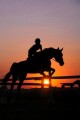 hanoverian spirit