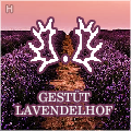 gestüt lavendelhof