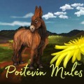 poitevin mules