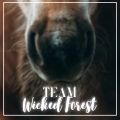 wicked forest