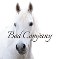 ⊹ bαԃ cσɱραɳყ ⊹