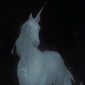 ℛᴇʟᴀᴘꜱᴇ