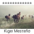 Ƙɩgeɾ mesτeñσ