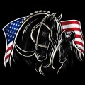 american royal friesians