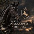 – Амвʀosıᴀ –