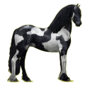 Cavallo da corsa Frisone Nero