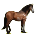 Cavallo da corsa Grigio Pezzato