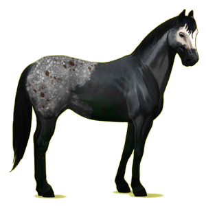 Cavallo da corsa Paint Horse Castano Tobiano