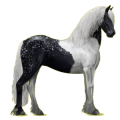 Cavallo da corsa Frisone Nero