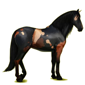 Cavallo da corsa Purosangue Spagnolo Baio rossastro