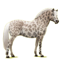 Pony Fjord Brunblakk