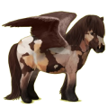 Pegaso pony Grullo