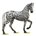 Cavallo da corsa Cremello